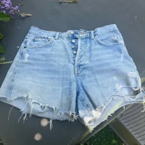 Agolde Mid Shorts