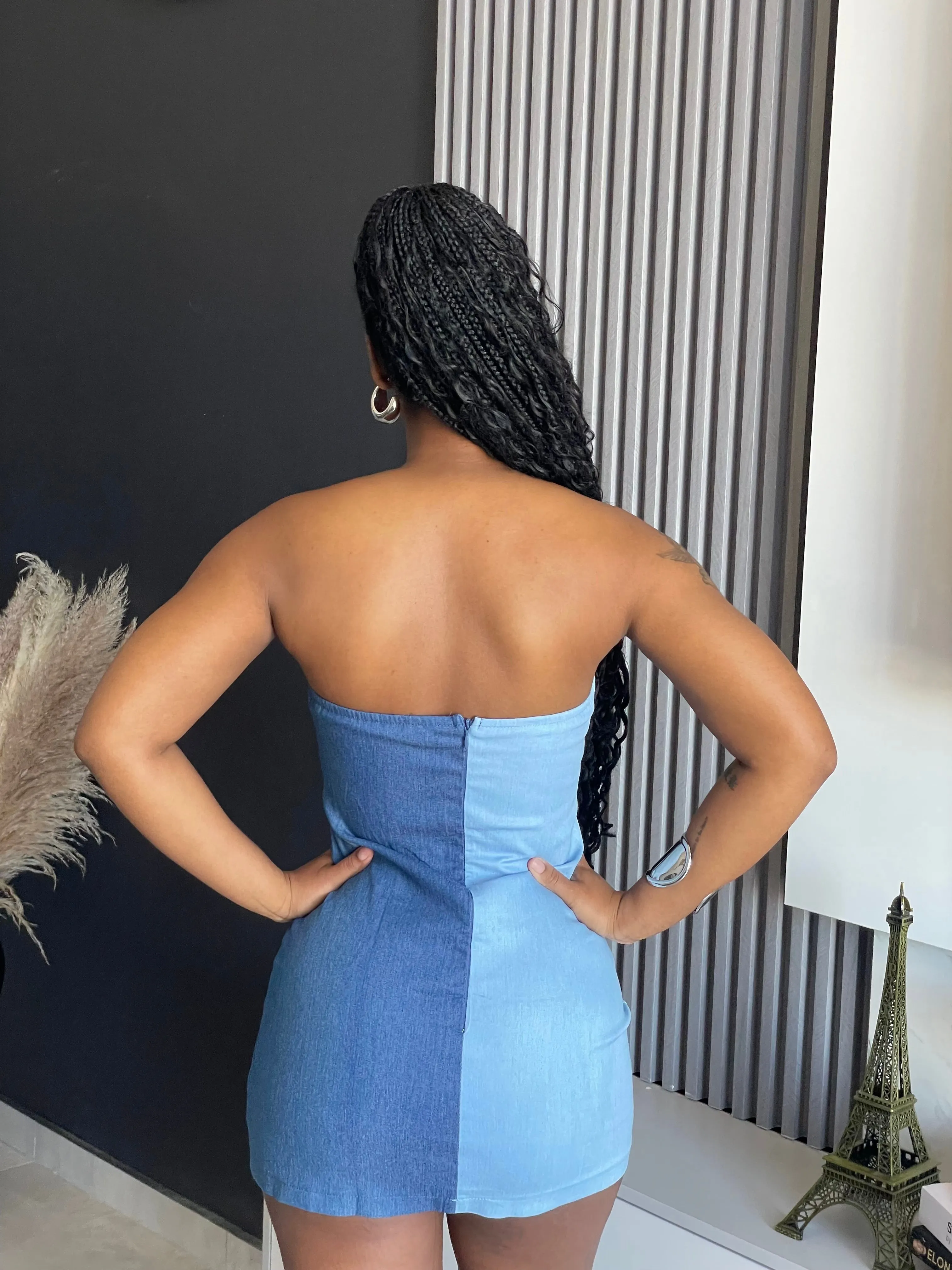 Bandia Denim Mini Dress