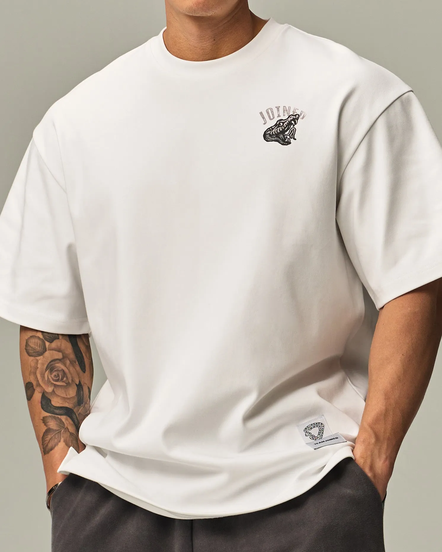 CNY Snake Font Oversized