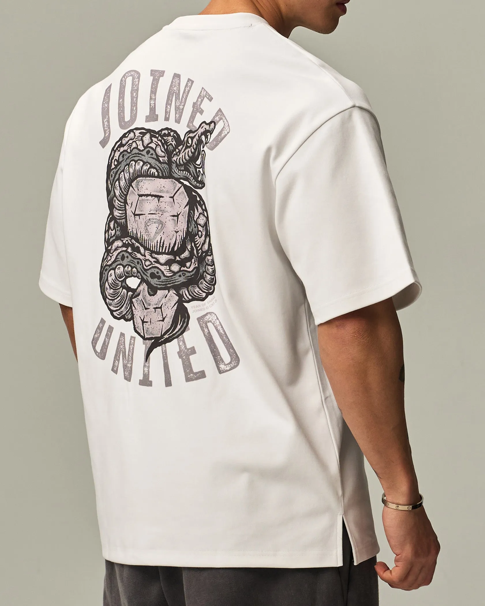 CNY Snake Font Oversized