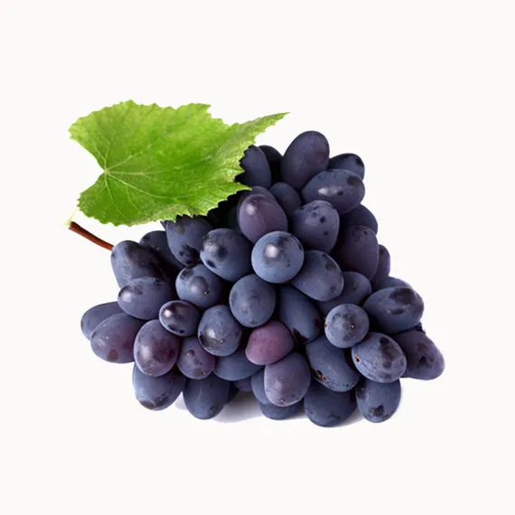 Fresh Bluberry