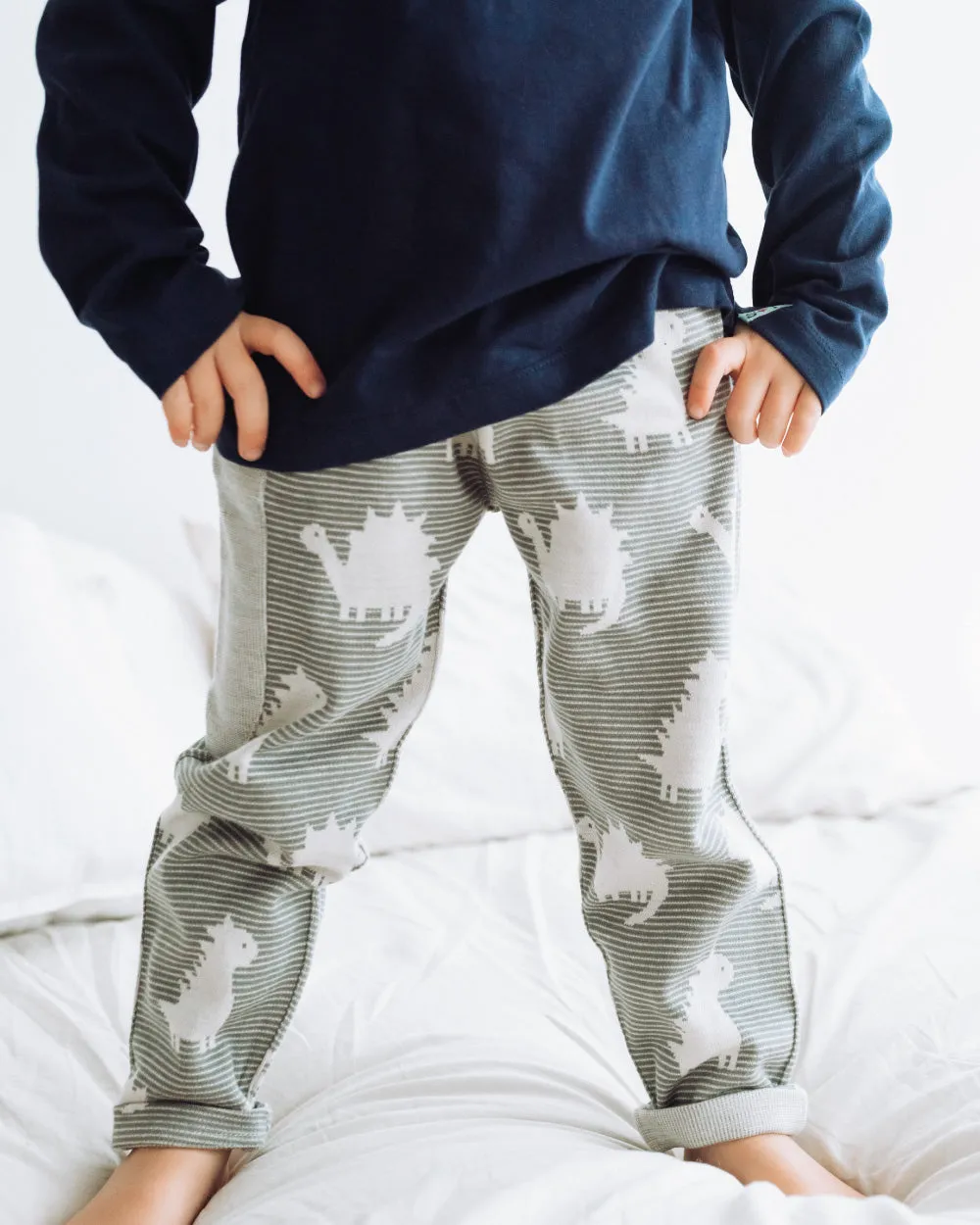 Grey Dinosaur Print Joggers