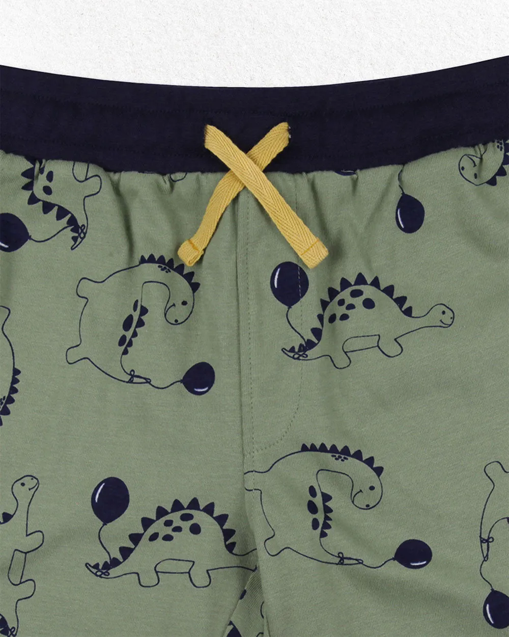 Multicoloured Dinosaur And Stripe Print Short - 2 Pack