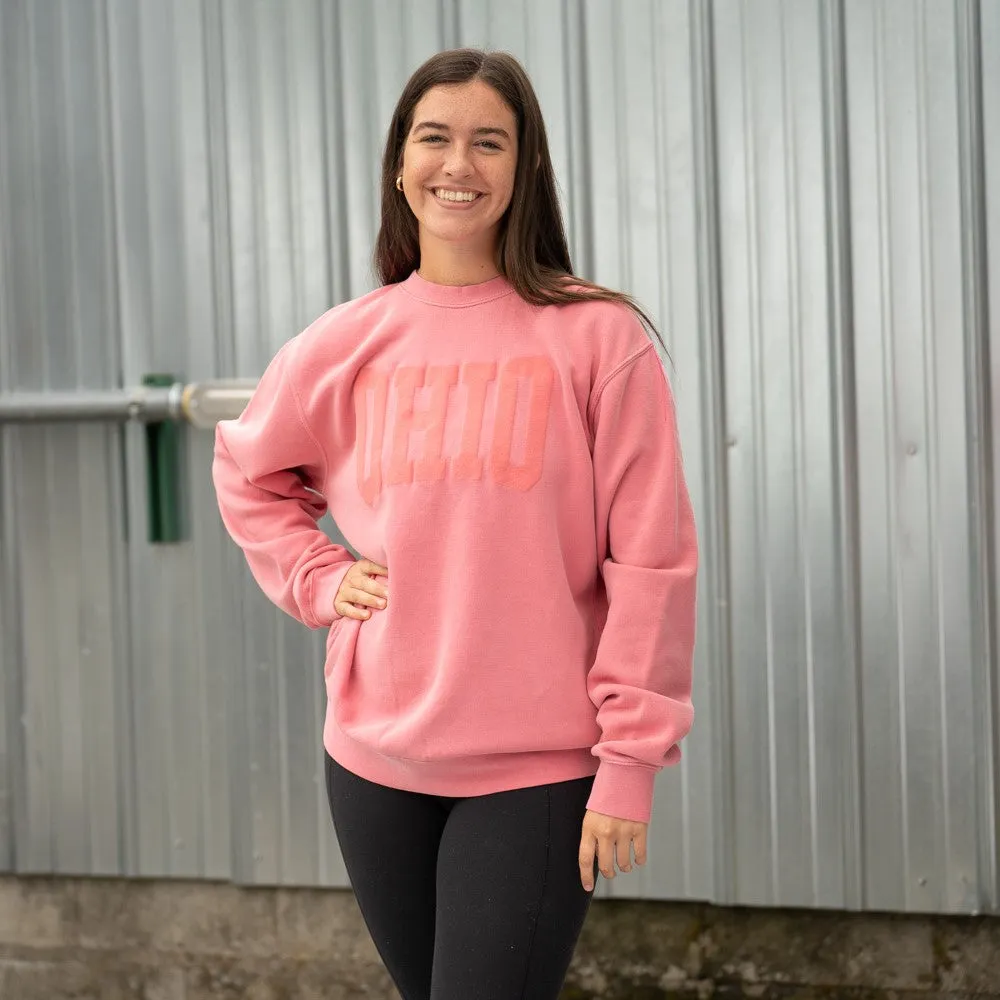Ohio Pink Pigment Dyed Sweatshirt