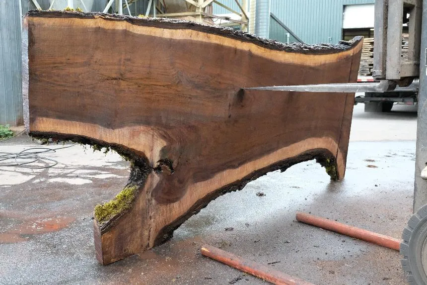 Oregon Black Walnut Slab 061723-02