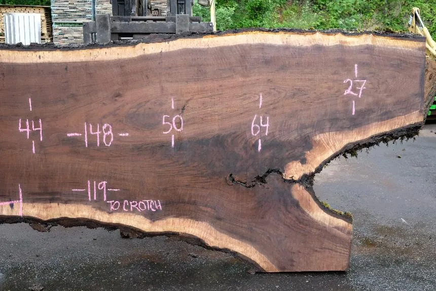 Oregon Black Walnut Slab 061723-02