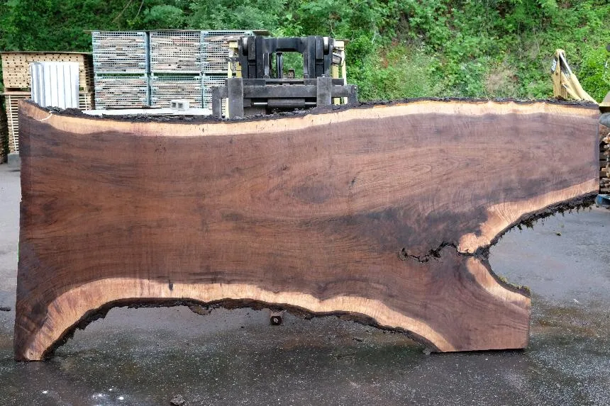 Oregon Black Walnut Slab 061723-02