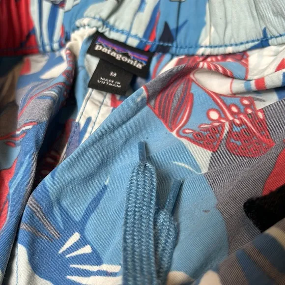 Patagonia barely baggies feather shorts