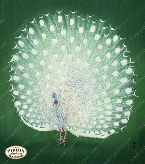 PDXC19747 -- Japanese Peacock