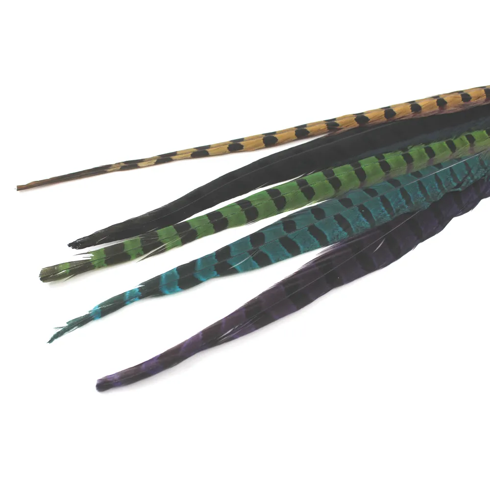 Ringneck Pheasant Tail Feathers