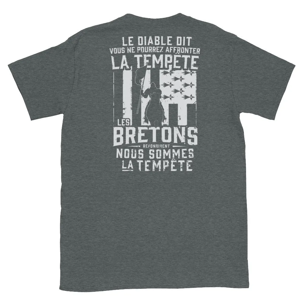 Tempête Breton - T-shirts Unisexe Standard